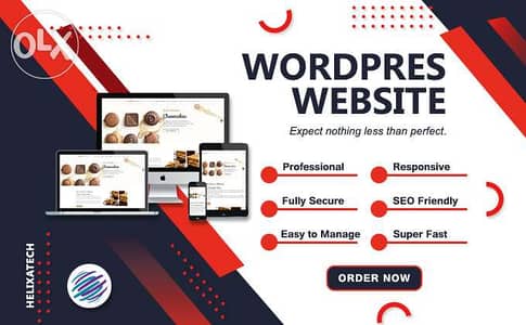 We design and develop modern WordPress website 0
