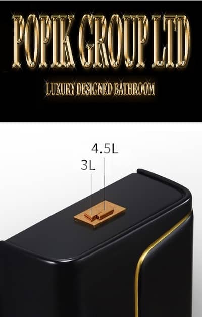 Black Luxury Toilet design model with Gold line 2