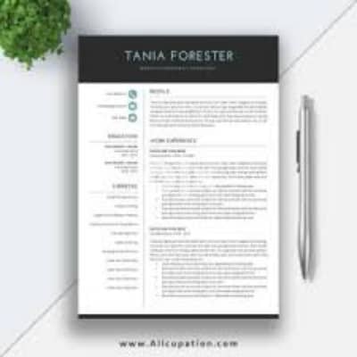I am a Professional CV & Resume designer in just one hour 1