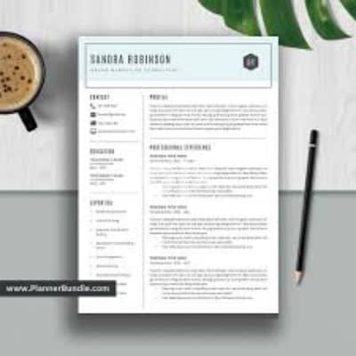 I am a Professional CV & Resume designer in just one hour 16