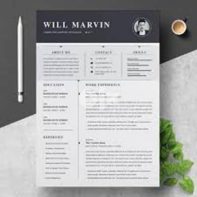 I am a Professional CV & Resume designer in just one hour 17